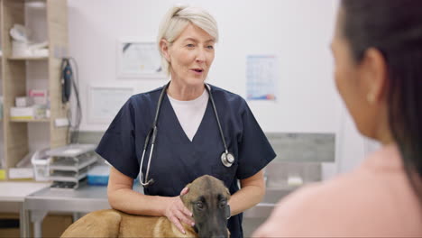 dierenarts handdruk, hond of gelukkige vrouw