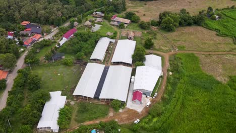 Aerial-View-Of-Buffalo-Dairy-Farm-In-Luang-Prabang,-Laos