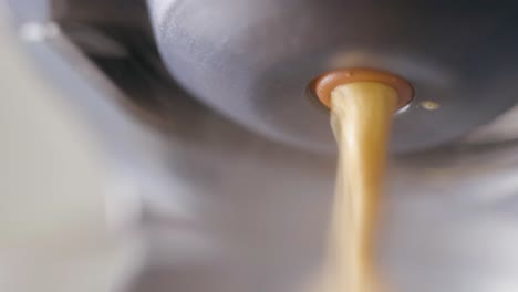 커피 메이커 준비 양조 사업