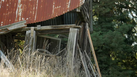 medium shot of a dilapidated wooden farm shed, tilt up