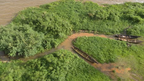 Aerial-birds-eye-view-shot-moving-along-the-shoreline-of-Lake-Victoria-with-fishing-canoes-among-the-swamp-reeds