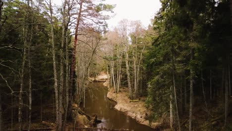 Establishing-aerial-view-of-Riva-river-valley-in-sunny-spring-day,-thick-forest-of-tall-evergreen-trees,-untouched-remote-location,-wide-angle-drone-shot-moving-forward