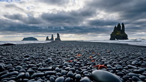 starfish on black pebble beach with basalt sea stacks