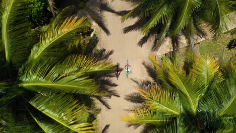 Couple-Riding-Bikes-Under-Palm-Trees-Together-Aerial-Shot