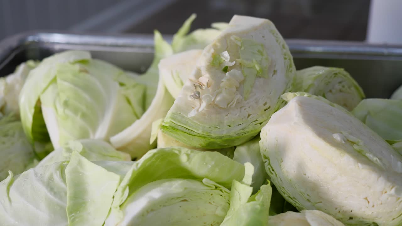 쟁반에 보관된 양배추의 클로즈업 샷