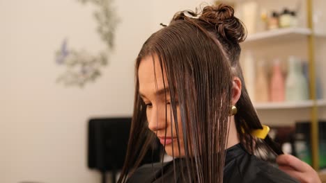 client with sectioned hair ready for styling. a client with sectioned hair sits ready for styling during a professional beauty salon treatment