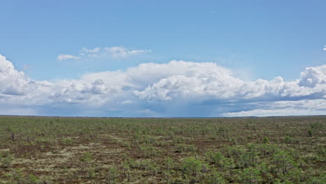 Panoramic-marshland-aerial