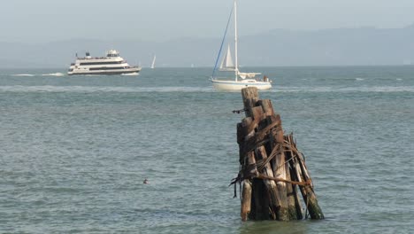 łodzie przepływające przez zatokę san francisco