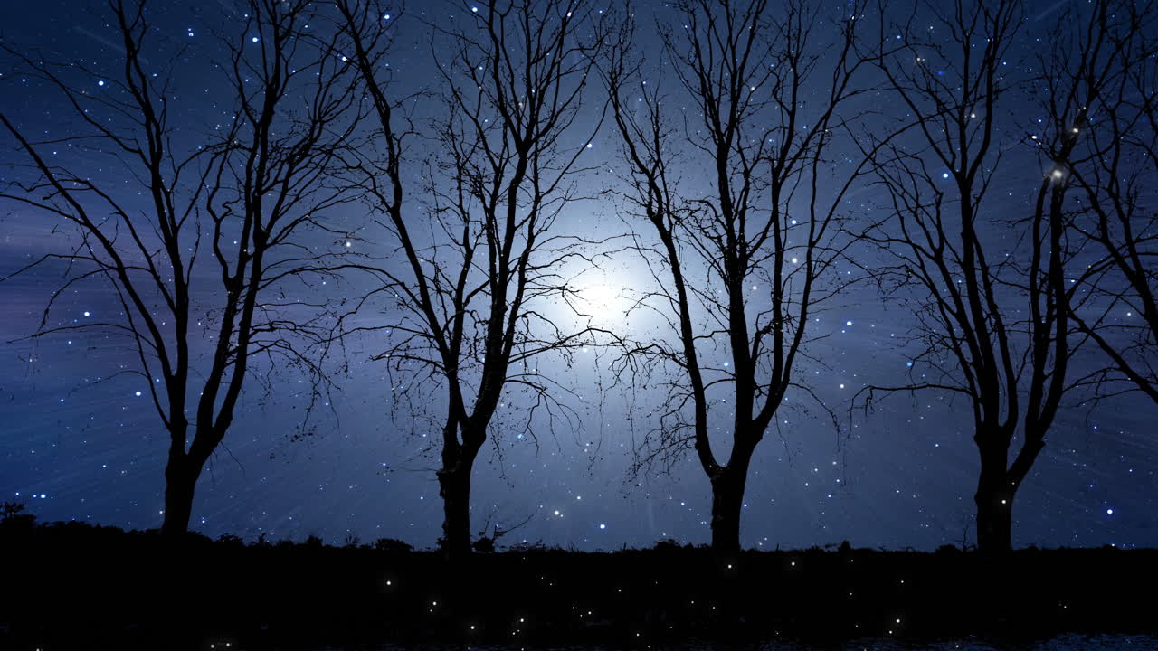 Video of dark forest aerial flyby