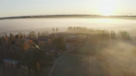 farm buildings at sunrise covered in fog