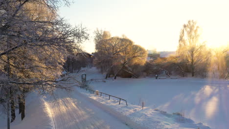 golden sunlight on white winter morning with speed limit sign on slippery road