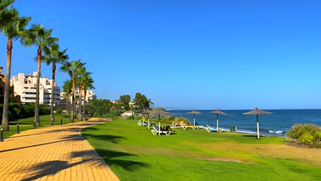 beautiful palm trees and green grass by the beach with blue sky in marbella estepona, spain, 4k static shot