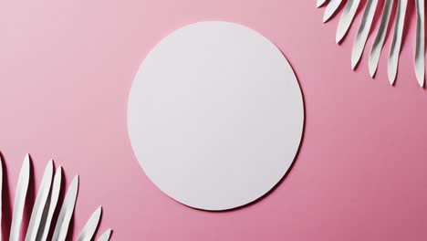 Video-of-white-plant-leaves-and-white-circle-with-copy-space-on-pink-background