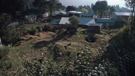 Houses-and-a-garden-in-San-Jose-Del-Pacifico