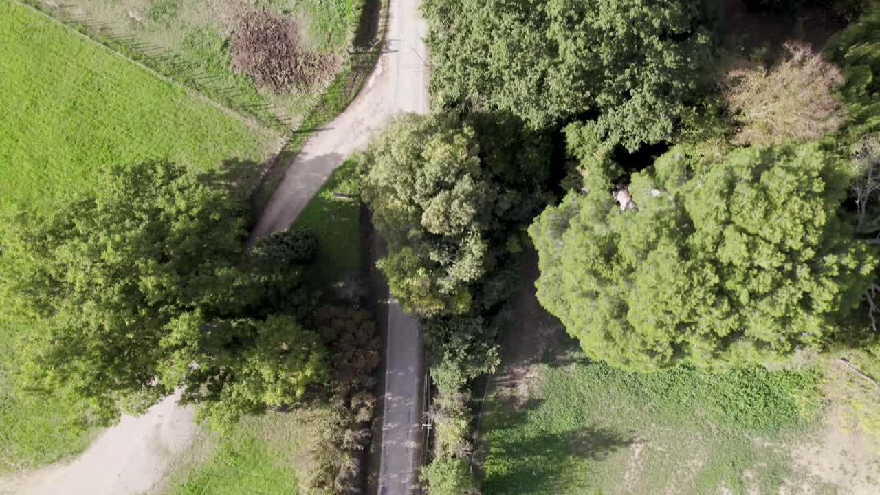 Classic green convertible car driving along rural roads in the south of France, Aerial looking down shot