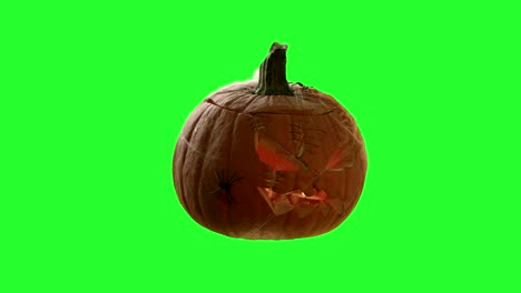 halloween background element on chroma key pumpkin with a spooky face carving