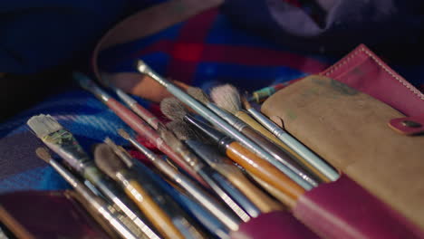 paintbrushes in a case