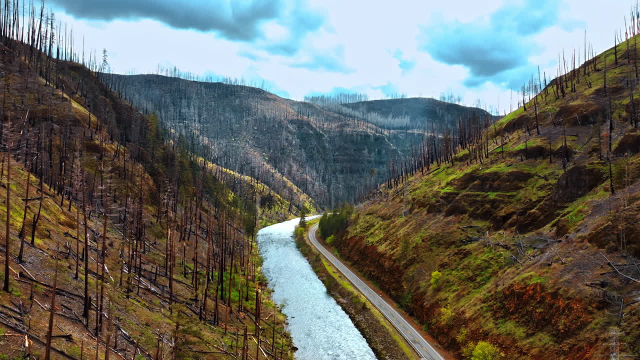 Footage above the narrow river flowing between the bare mountains. Bare rocks are covered with the trunks of dead pine trees.