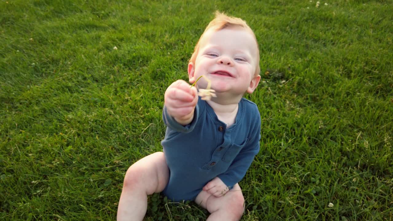 Glücklicher kleiner Junge sitzt alleine auf einem grünen Grasfeld und bietet der Kamera mit einem breiten Lächeln eine Blume an.