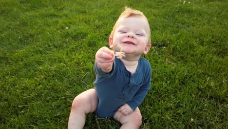 Happy-baby-boy-sitting-alone-in-green-grass-field-offers-flower-to-camera-with-a-big-smile