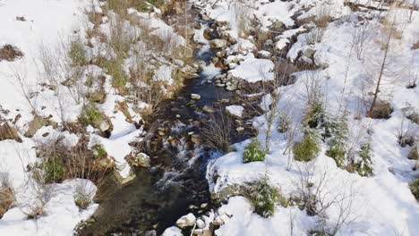 Vuelo-Cercano-Sobre-Un-Pequeño-Río-Salvaje-De-Montaña-En-Un-Bosque-Invernal-Con-Coníferas-Verdes