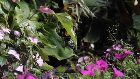 model train in a floral garden display