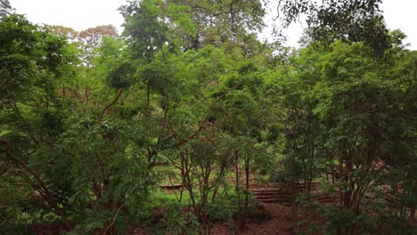 pond near the kumaraswami temple at the krauncha giri or hill at sandur, india