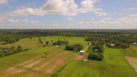 Lush-green-rice-fields-in-flat-south-east-asian-countryside,-aerial-view