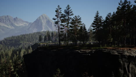 Pine-tree-forests-at-the-base-of-mountain-in-sunny-day-of-summer