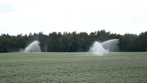 potato field irrigation system on the work