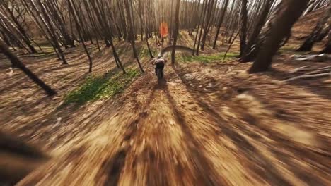 tiro de seguimiento de ciclista de montaña profesional a través del bosque de otoño sin hojas