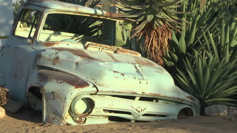 vintage old rusty car in the desert next to plants. locked off