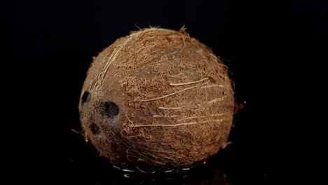 a fresh whole coconut slowly rotates.