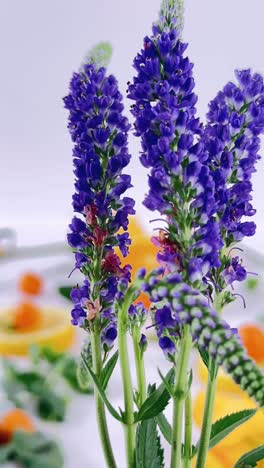 purple flowers and citrus fruit