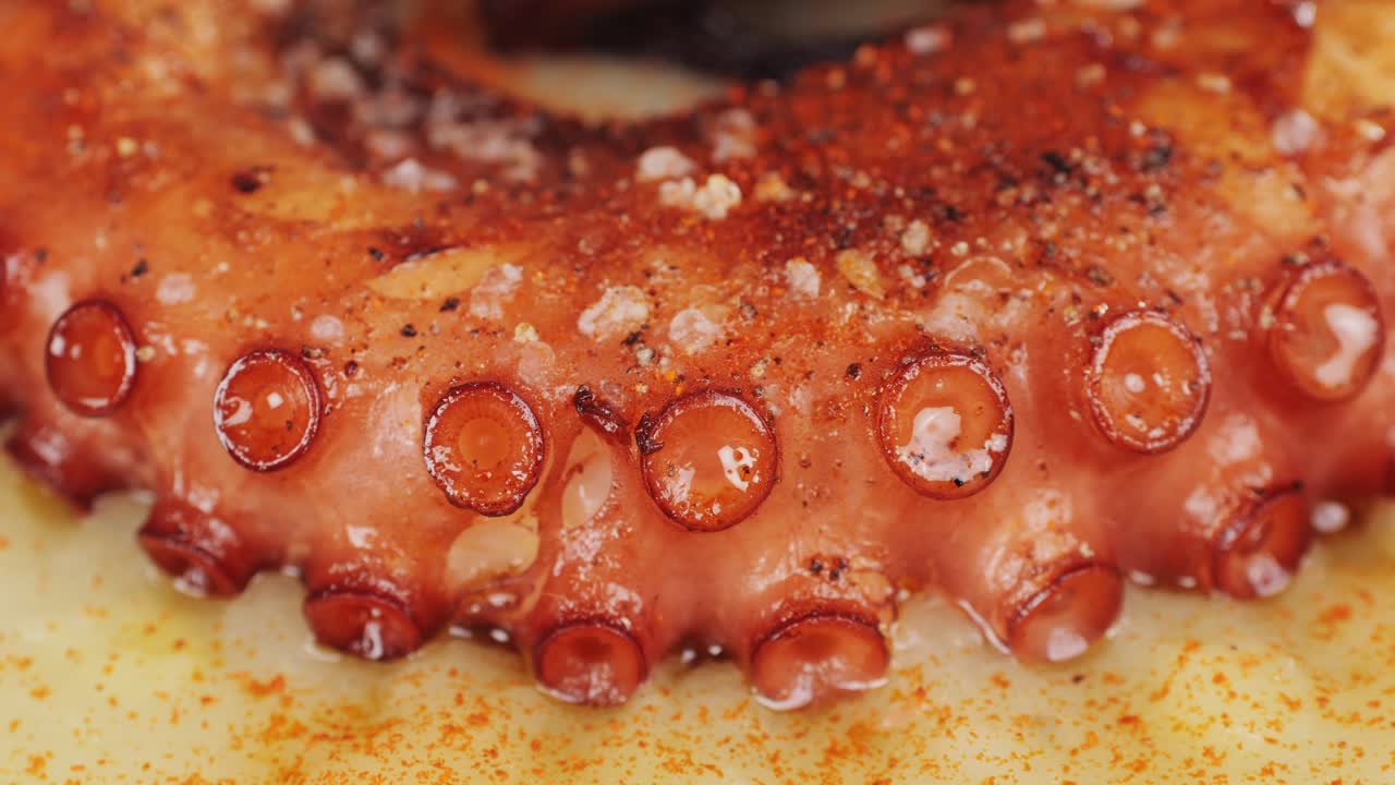 Octopus cooking, chef grill fresh octopus galician style on restaurant kitchen, healthy food, seafood cafe in spain, traditional asian japanese spanish and mediterranean dish.