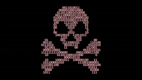 números binarios de virus informáticos