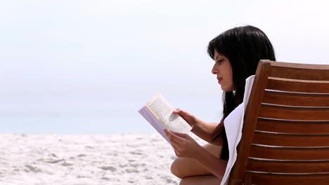 Brunette-reading-a-book