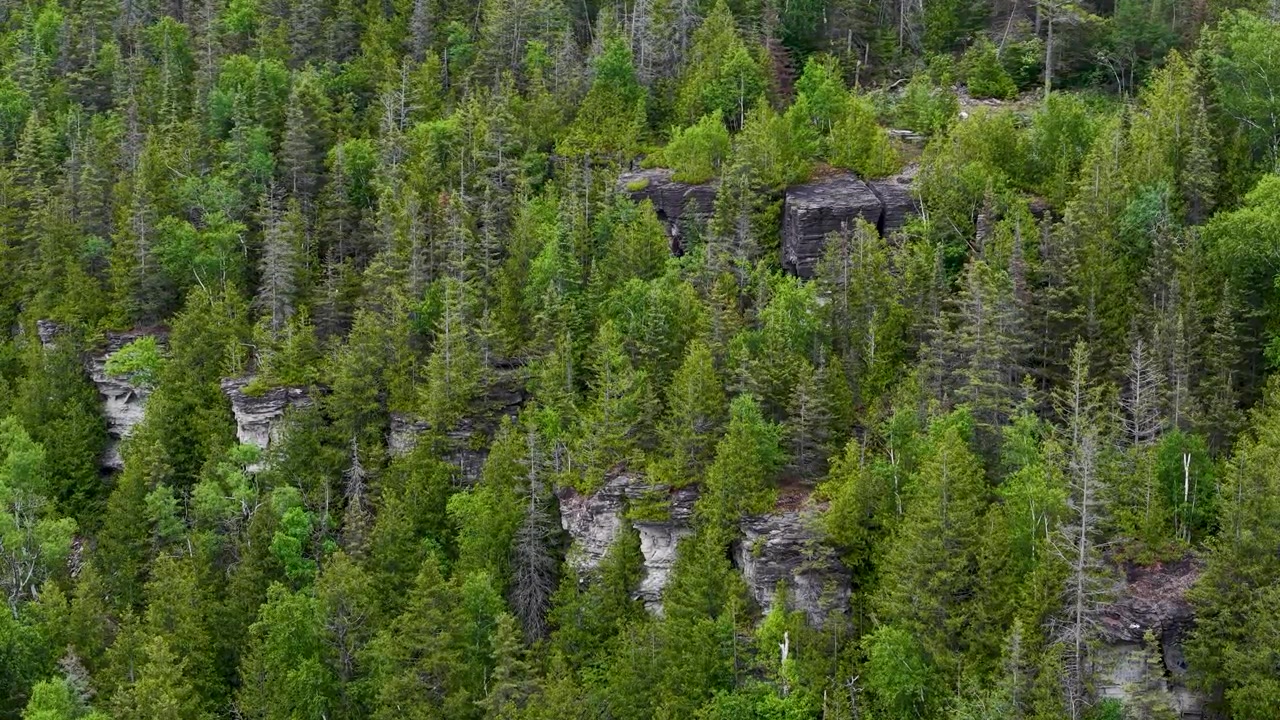 Et hævet perspektiv viser det fredelige landskab og skovområde omkring Mchigeeng Reservation i blødt sommerdagslys.
