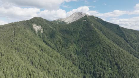 flying towards beaverhead peak, green forest in the mountains in golden, british columbia, canada. - aerial shot