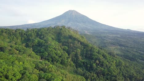 Vista-Aérea-De-Drones-De-La-Colina-Y-El-Bosque-En-El-País-Tropical-De-Indonesia