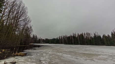 bad rainy weather, european woodland clearing in cold winter, timelapse