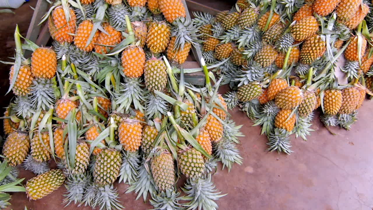 Bright ripe pineapples neatly stacked on wooden racks in a tropical open-air fruit stall
