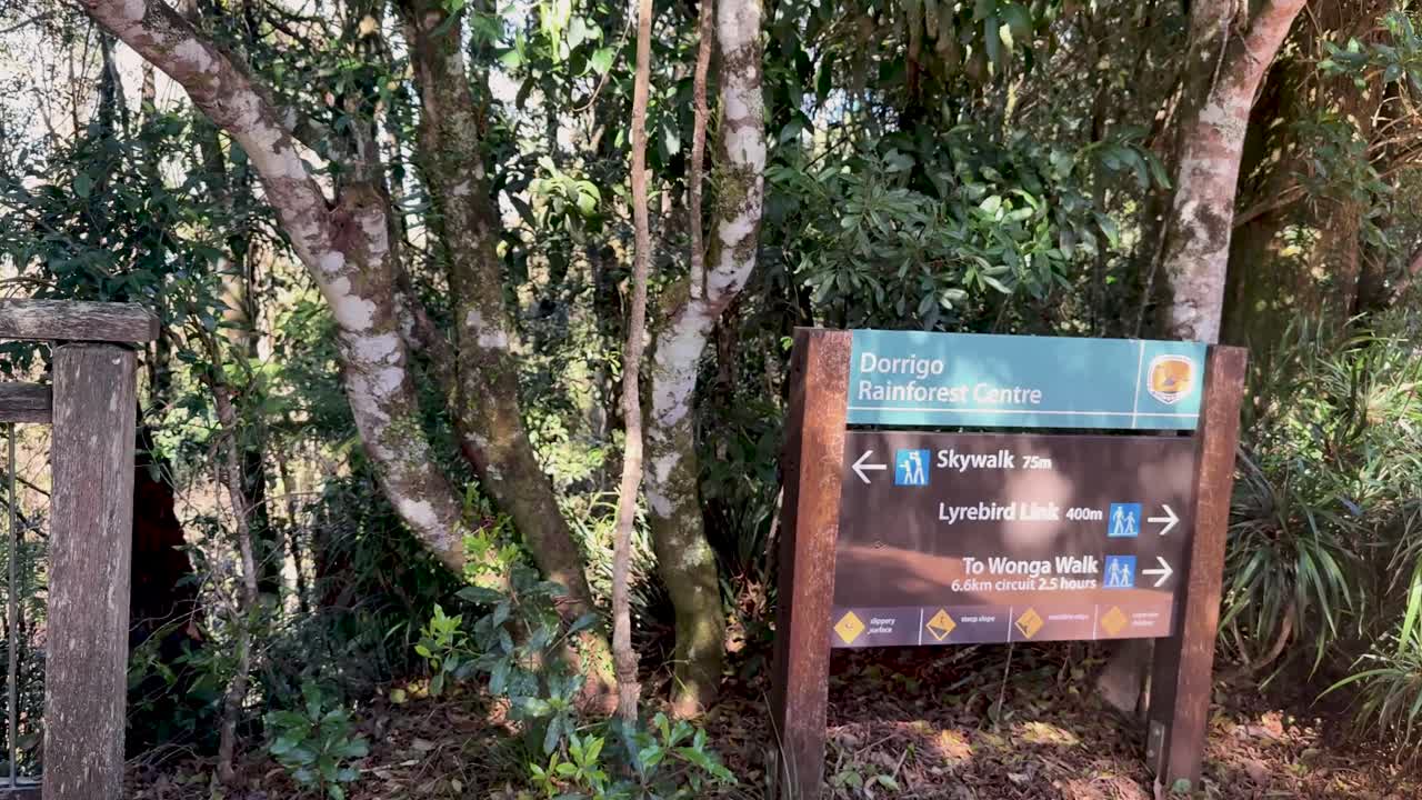 Camera glides along a shaded wooden boardwalk through lush forest, passing a 'Drone Free' sign and ending at a trail direction sign in Dorrigo National Park