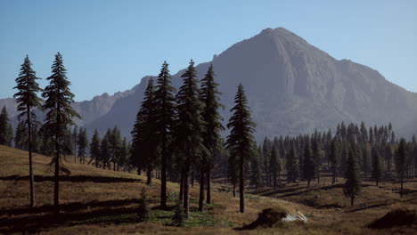 Landscape-view-of-the-mountain-range-with-trees-in-the-fall