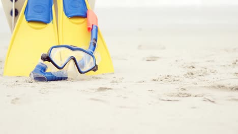 view of snorkeling equipment