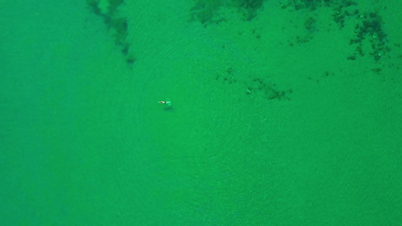 수직 공중 안테나