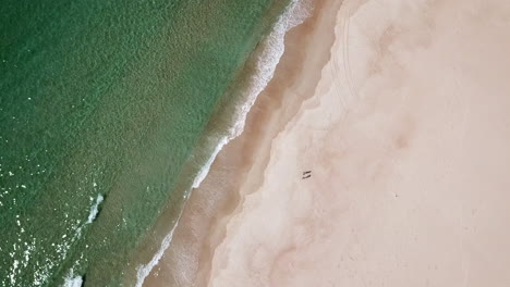 over head drone spiral over two people on white sand beach with waves rolling in, tasmania australia