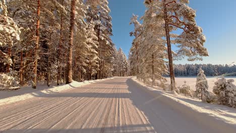 pov scenic winter drive in icy snow covered sun kissed forest finland