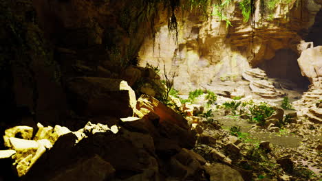 exploring a hidden cave with lush greenery and rocky formations during daylight