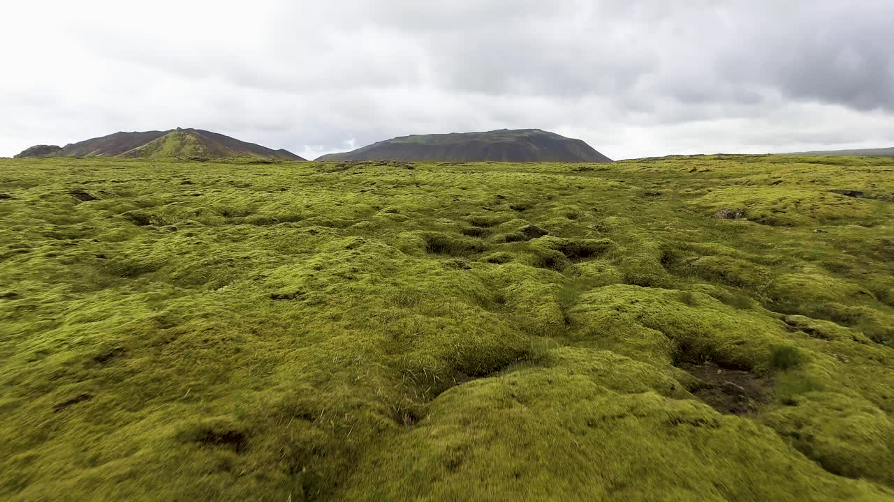 Luftfoto av mosegrodd lavafelt på Island.